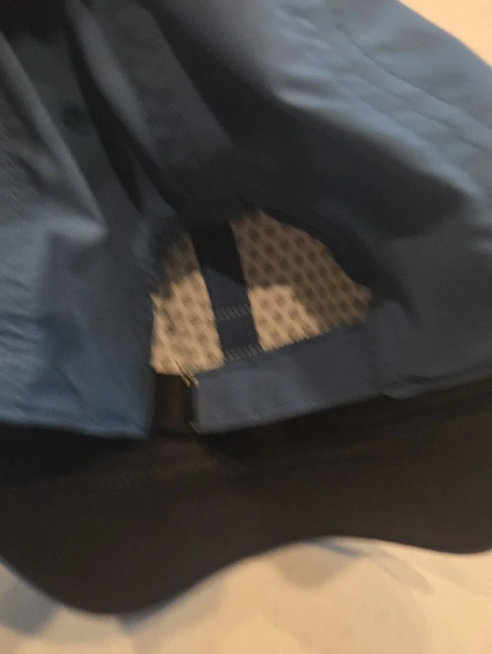 Patagonia Blue Logo Cap